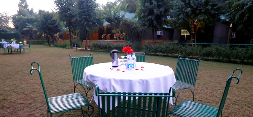 dinnig area